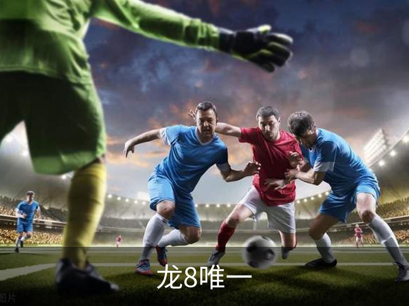 龙8唯一介绍